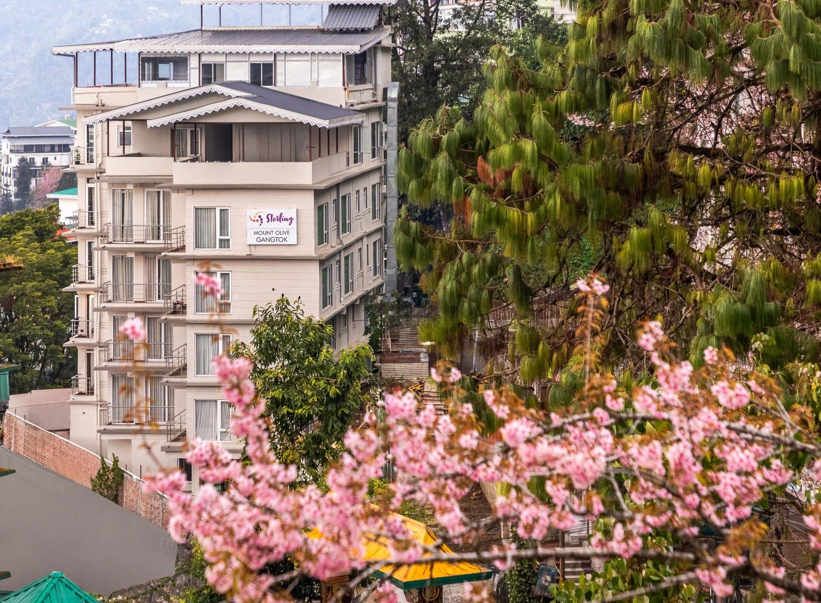 Sterling Mount Olive Gangtok