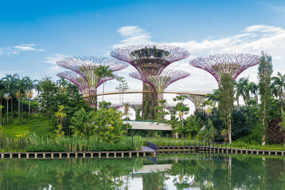 gardens by the bay