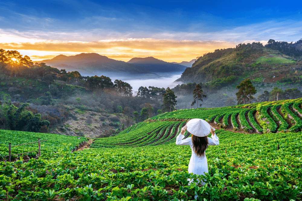 Da Nang & Hoi An Getaway, Vietnam