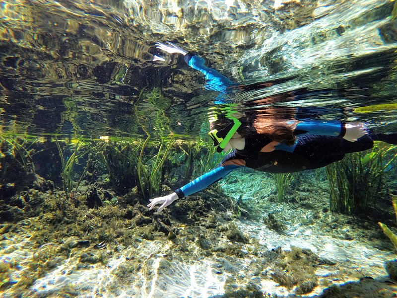 thailand snorkeling